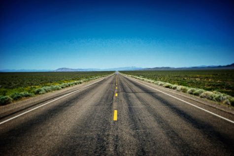 The Quirky Road to College