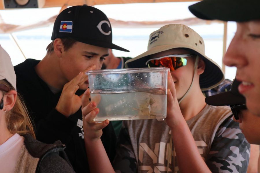 Landlocked Colorado baseball players enjoy getting up close and personal with sea creatures between games and practices at Amelia Island, Florida, over Spring Break 2018.