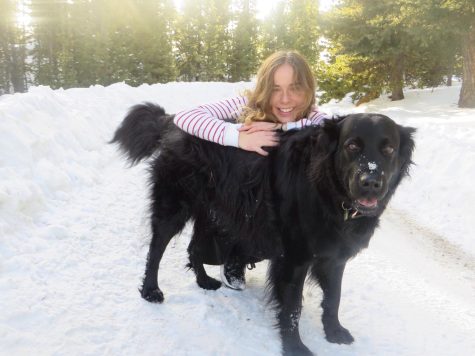 Olesya Tretyak during her time in Colorado (2014-2015), kneeling with the dog of her exchange family. Now we get air alarms multiple times a day and night, so we go back and forth to the bomb shelter, Tretyak said.