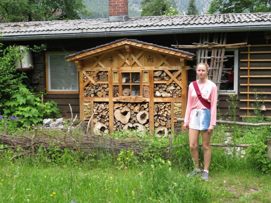 Miriam Koller was inspired to build her own bee hotel by hotels like this one in Germany,