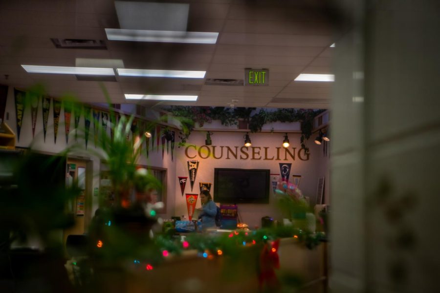 Peer Counselors and the counseling and department are all located in the office. They are available all periods of the day for students in need of guidance. “The counselors are always here, Neuenschwander said.