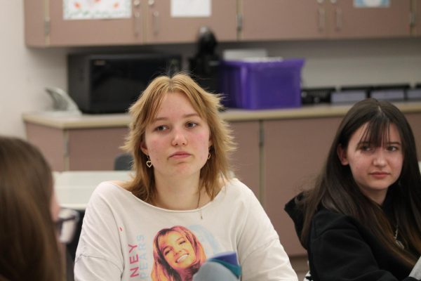 Freshman Co-Founders Serena LeRoy and Adley Boyd are the leading pillars and orchestrators of the newfound Cinema club hoping to introduce more members in the near future.